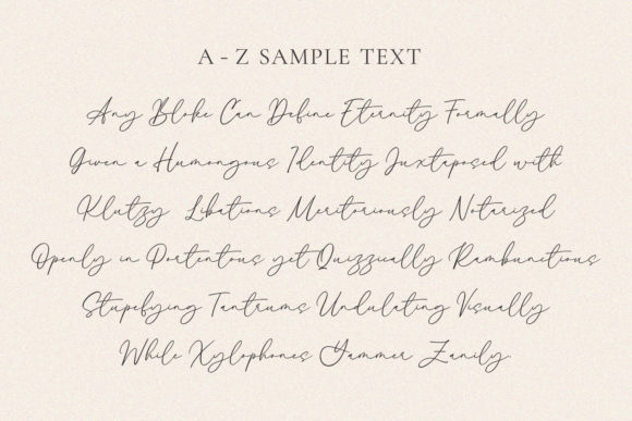 Alekin Wiliam Font - Preview 6