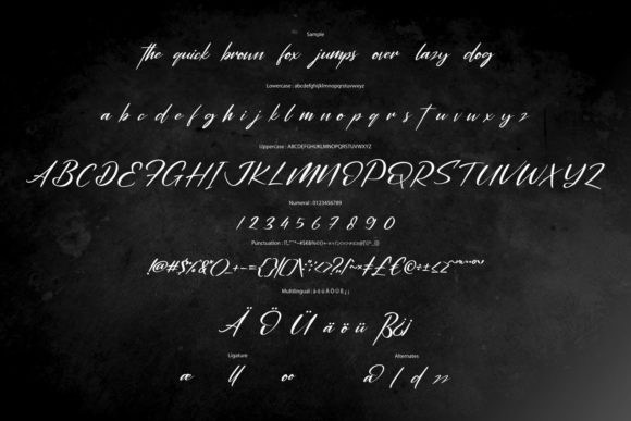 Alexandera Font - Preview 5