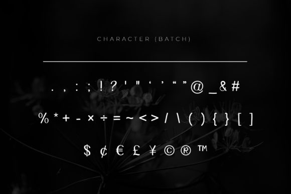 Bellie Font - Preview 4