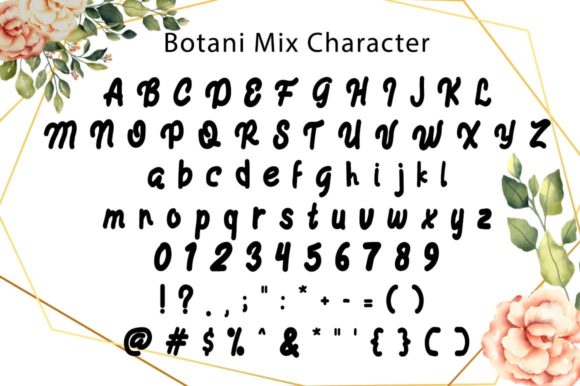Botani Mix Font - Preview 4