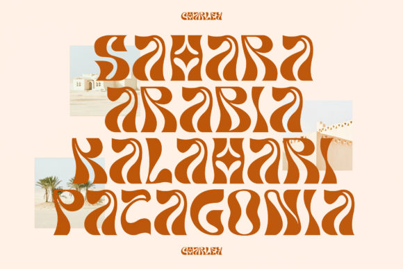 Charley Font - Preview 3