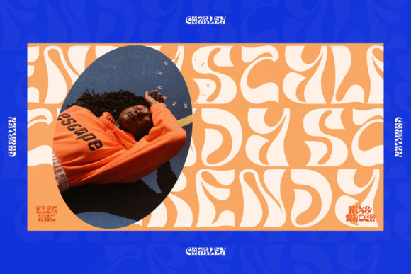 Charley Font - Preview 6