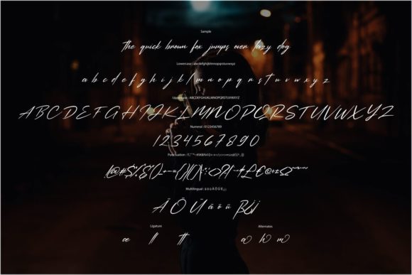 Farllosa Font - Preview 5