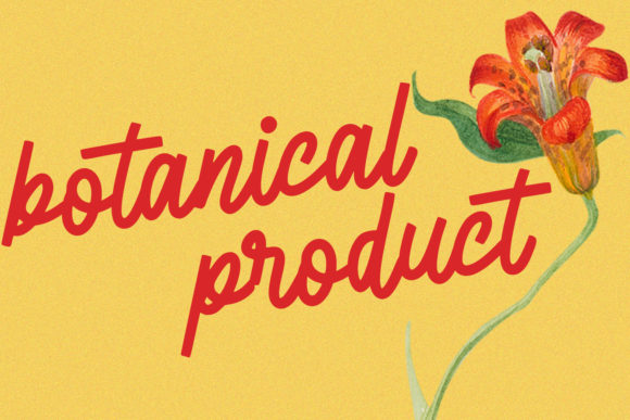 La Flexes Font PNG with transparent background - Preview 1