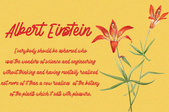 La Flexes Font PNG with transparent background - Preview 3