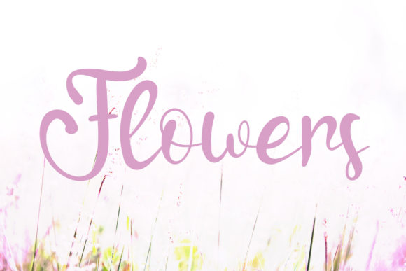 Nona Love Font PNG with transparent background - Preview 1