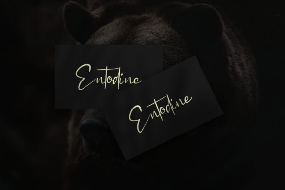 Northland Ballance Font PNG with transparent background - Preview 1