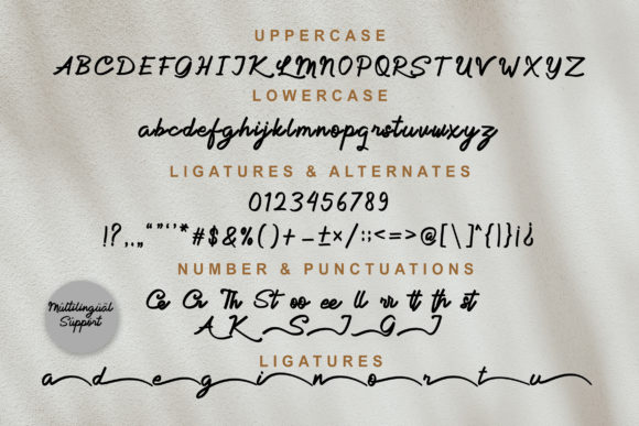 Allina Font - Preview 5
