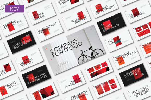 Company Portfolio Presentation Template