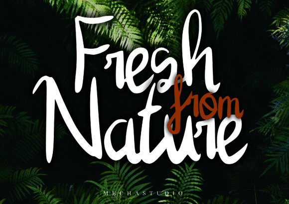 Kiara Font - Preview 1