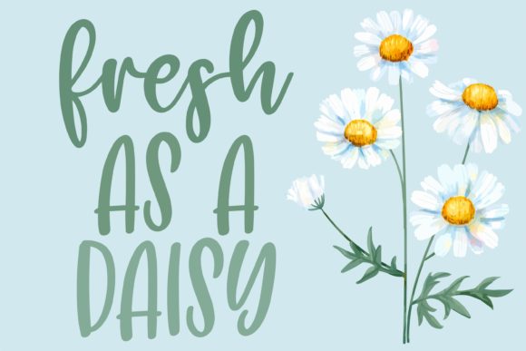 Marcia Font PNG with transparent background - Preview 2