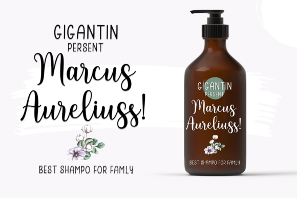 Smith Family Font PNG with transparent background - Preview 2