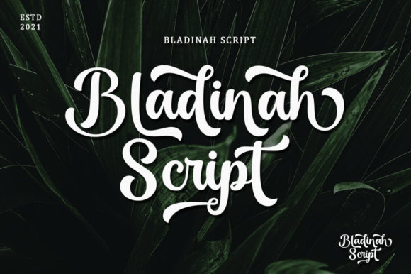 Darlington Font - Preview 3
