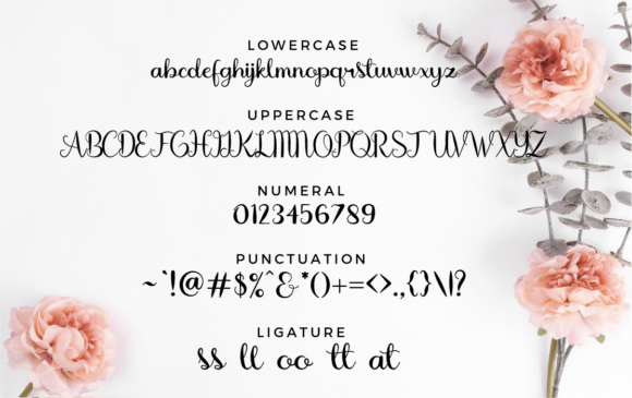 Allyra Font - Preview 4