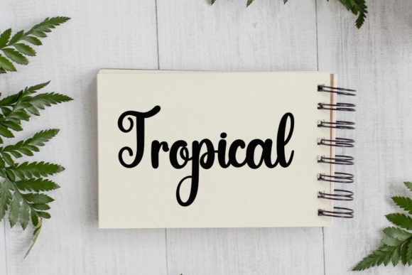 Apple Font - Preview 3