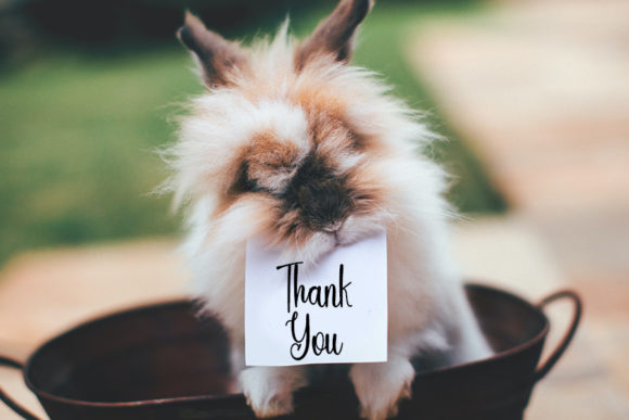 Bunny Font - Preview 5