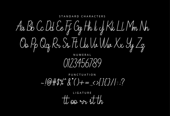 Emoly Signature Font - Preview 6