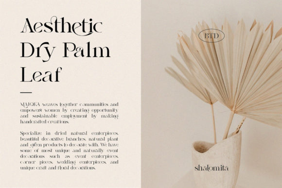 Shalomita Font PNG with transparent background - Preview 3