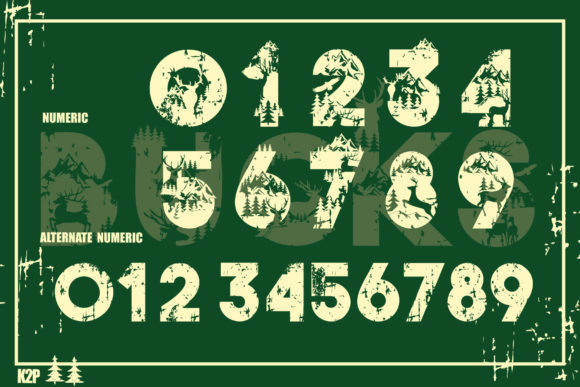 Bucks Font - Preview 4