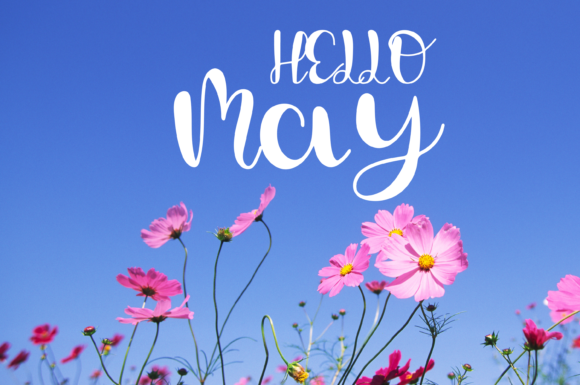 Cherry Blossom Font - Preview 2