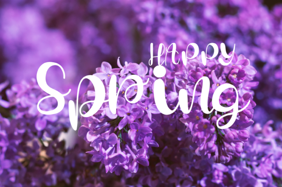 Cherry Blossom Font - Preview 4