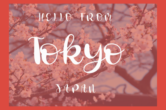Cherry Blossom Font - Preview 5