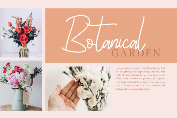 Hanibee Font PNG with transparent background - Preview 2