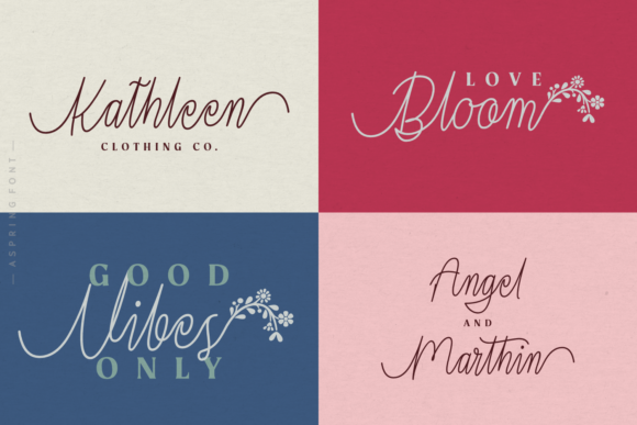 Aspring Font - Preview 1