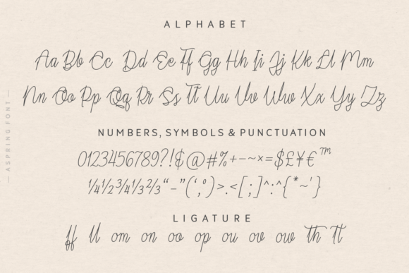 Aspring Font - Preview 5