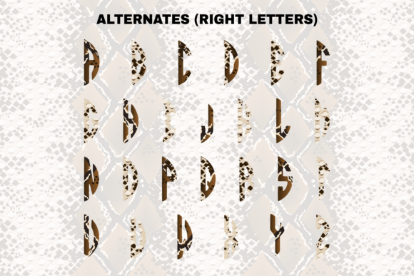 Snake Circle Font PNG with transparent background - Preview 3