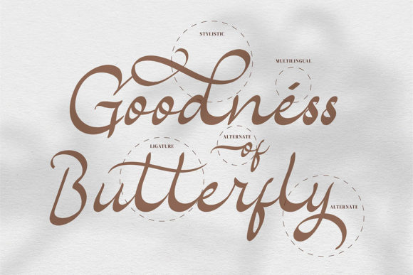 Almirab Font - Preview 3