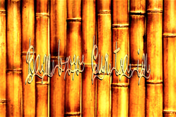 Bamboo Curtain Font - Preview 2