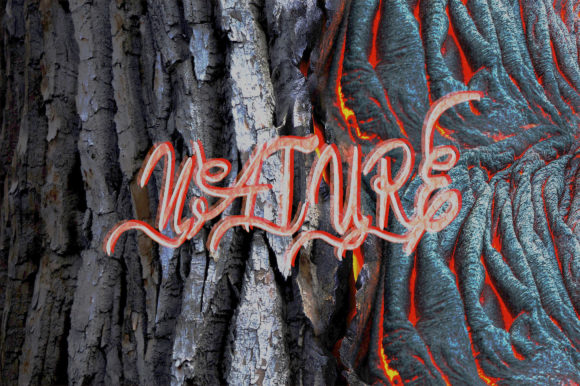 Bamboo Curtain Font - Preview 4