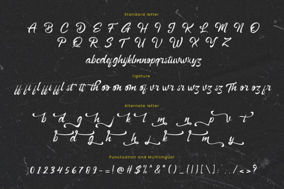 Bottega Font - Preview 1