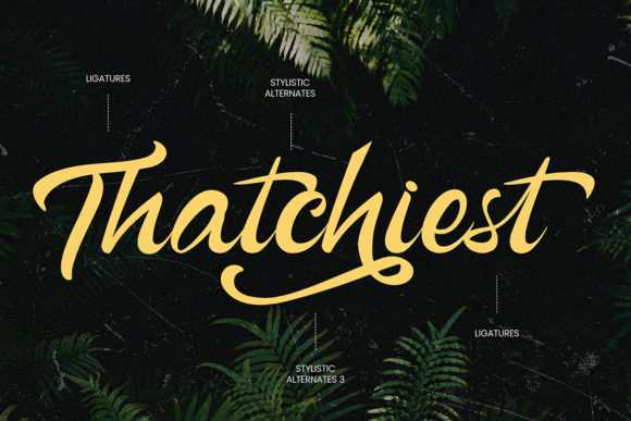Bottega Font - Preview 2