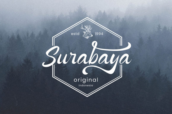 Bottega Font - Preview 3