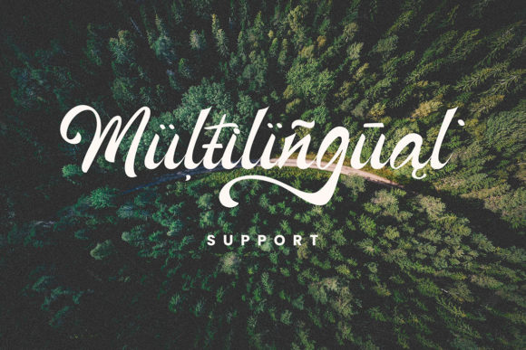 Bottega Font - Preview 5