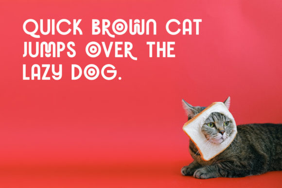 Brocado Font - Preview 3