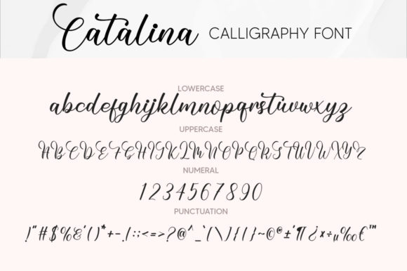 Catalina Font - Preview 5