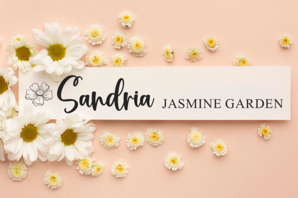 Cottonwood Font - Preview 1