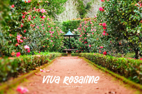 Flower Garden Font - Preview 1