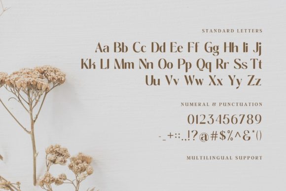 Molgak Classy Font PNG with transparent background - Preview 3
