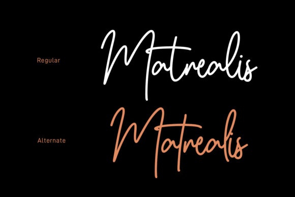 Agretha Font - Preview 4