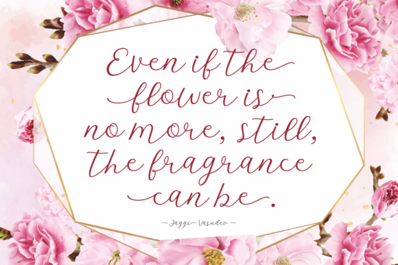 Cannella Font - Preview 1