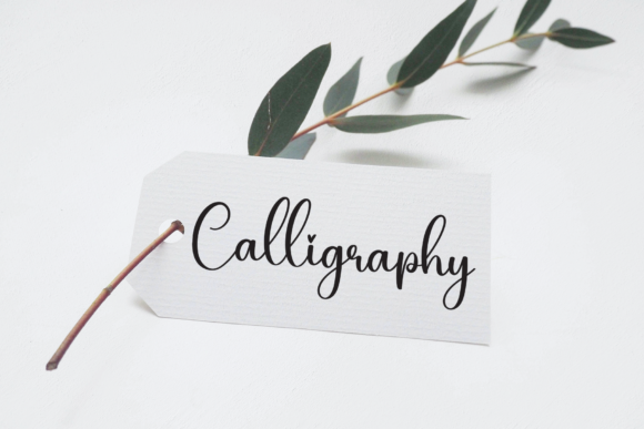 Daisy Font - Preview 4