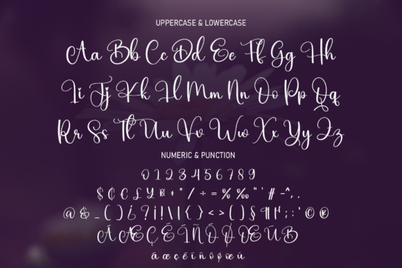 Daisy Font - Preview 6