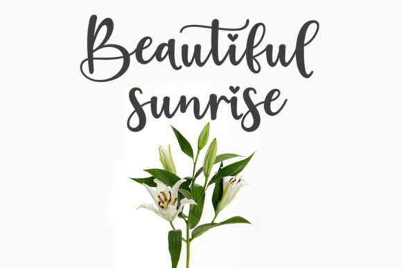 Falling in Love Font - Preview 5
