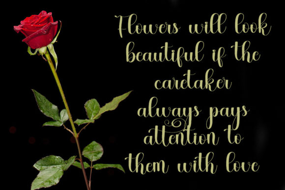 Master Pretties Font PNG with transparent background - Preview 1