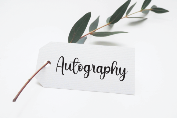 Millenial Font PNG with transparent background - Preview 2