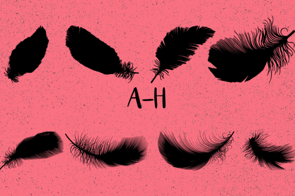 Feathers Font - Preview 1